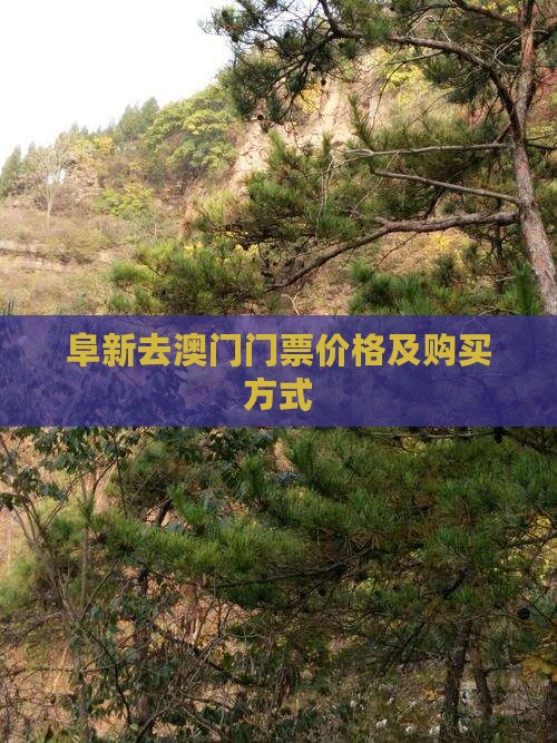 阜新去澳门门票价格及购买方式