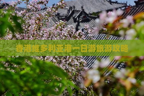 香港维多利亚港一日游旅游攻略
