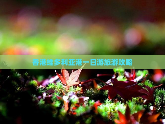 香港维多利亚港一日游旅游攻略