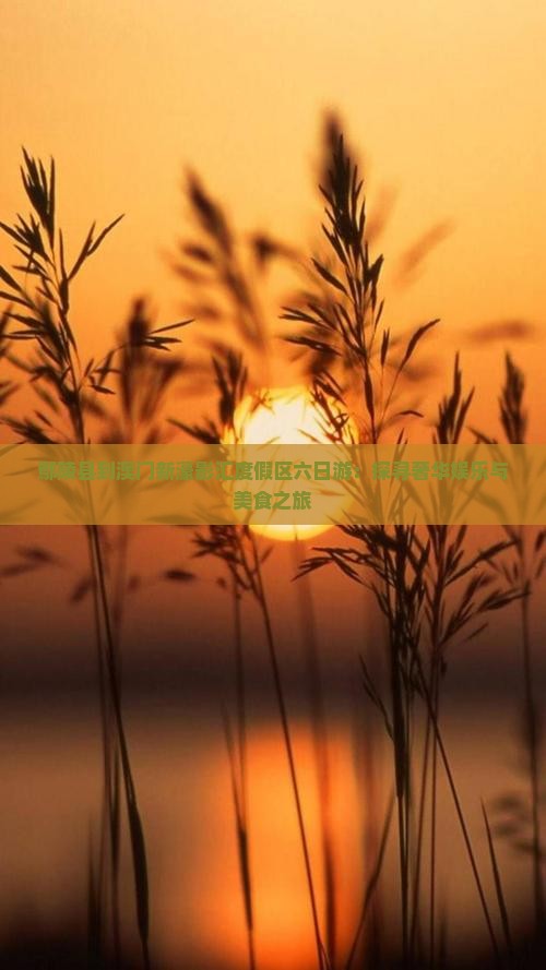 鄢陵县到澳门新濠影汇度假区六日游：探寻奢华娱乐与美食之旅