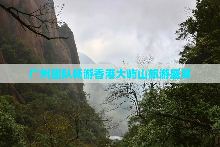 广州团队畅游香港大屿山旅游盛宴