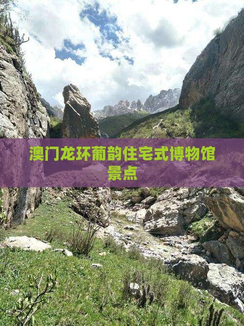 澳门龙环葡韵住宅式博物馆景点