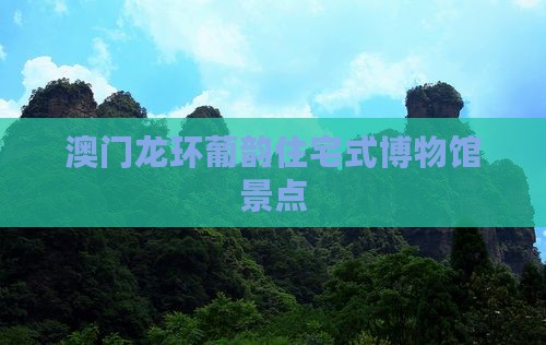澳门龙环葡韵住宅式博物馆景点