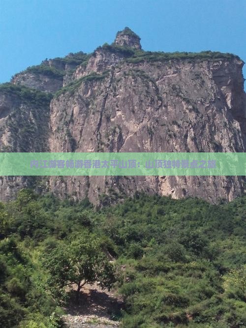 内江游客畅游香港太平山顶：山顶独特景点之旅