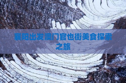 襄阳出发澳门官也街美食探索之旅