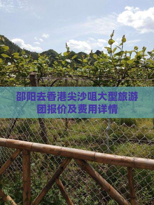邵阳去香港尖沙咀大型旅游团报价及费用详情