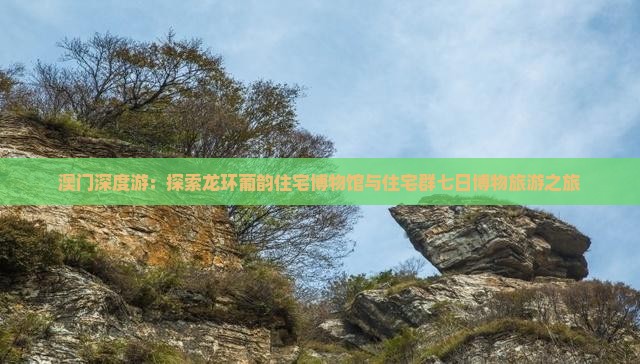 澳门深度游：探索龙环葡韵住宅博物馆与住宅群七日博物旅游之旅