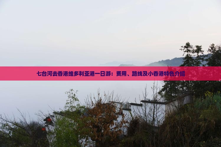 七台河去香港维多利亚港一日游：费用、路线及小香港特色介绍