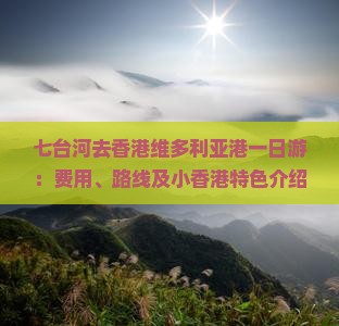 七台河去香港维多利亚港一日游：费用、路线及小香港特色介绍