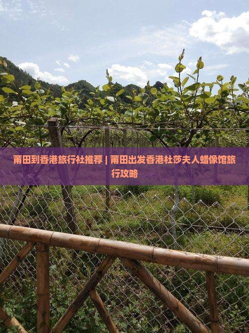 莆田到香港旅行社推荐 | 莆田出发香港杜莎夫人蜡像馆旅行攻略