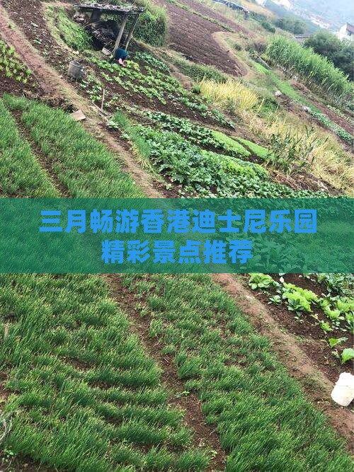 三月畅游香港迪士尼乐园精彩景点推荐