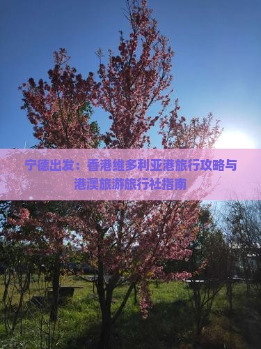宁德出发：香港维多利亚港旅行攻略与港澳旅游旅行社指南