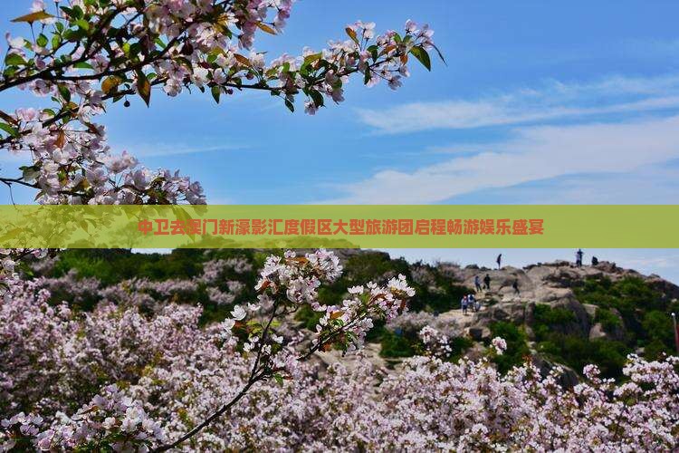 中卫去澳门新濠影汇度假区大型旅游团启程畅游娱乐盛宴
