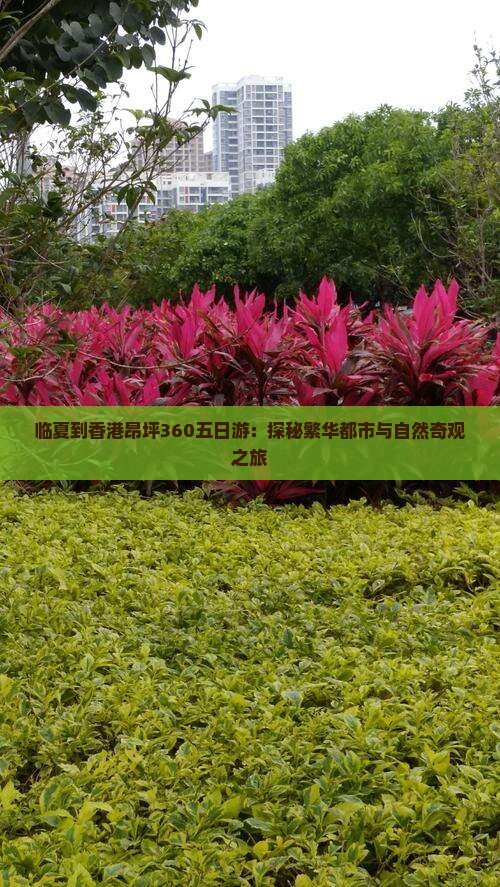 临夏到香港昂坪360五日游：探秘繁华都市与自然奇观之旅