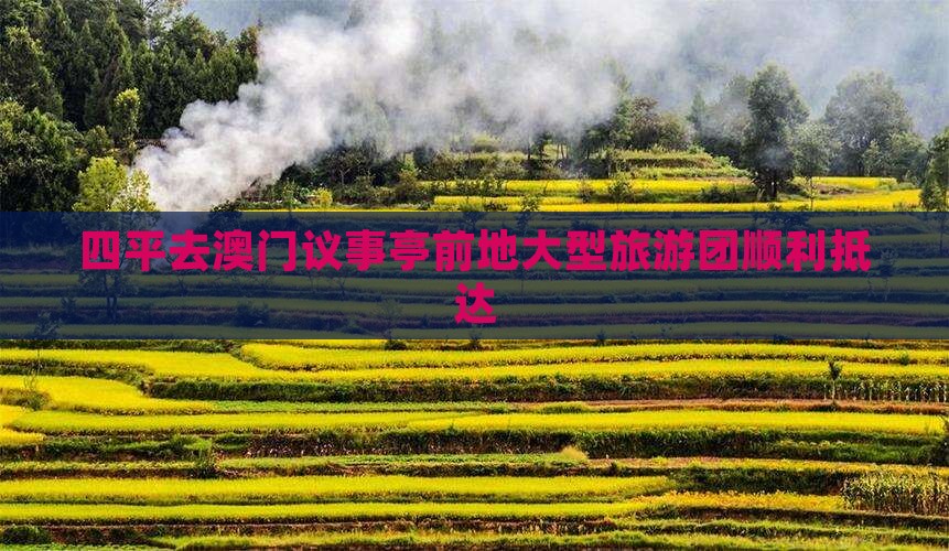 四平去澳门议事亭前地大型旅游团顺利抵达