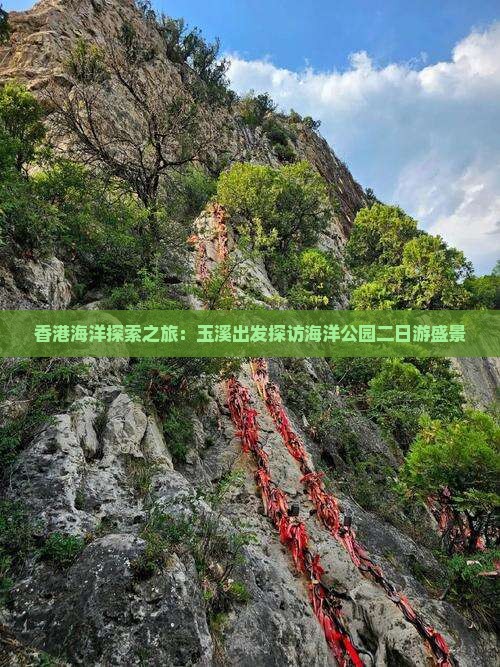 香港海洋探索之旅：玉溪出发探访海洋公园二日游盛景