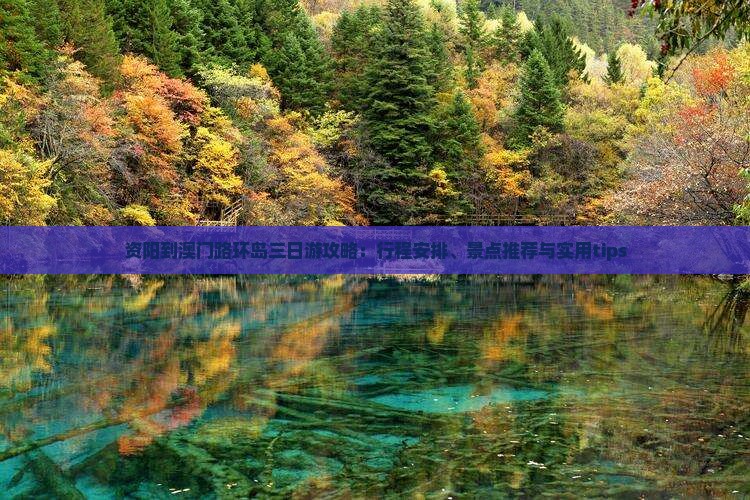 资阳到澳门路环岛三日游攻略：行程安排、景点推荐与实用tips