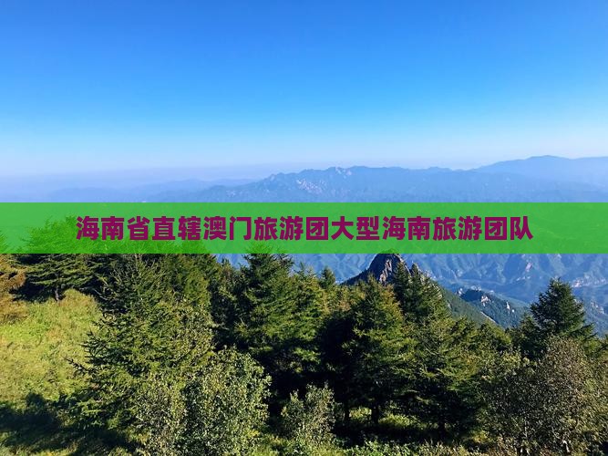 海南省直辖澳门旅游团大型海南旅游团队