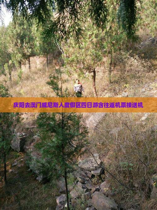 庆阳去澳门威尼斯人度假区四日游含往返机票接送机