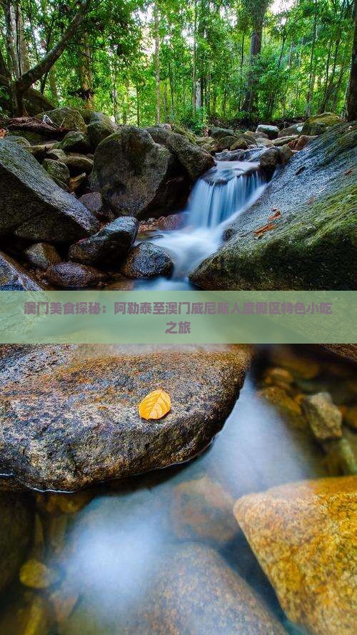 澳门美食探秘：阿勒泰至澳门威尼斯人度假区特色小吃之旅