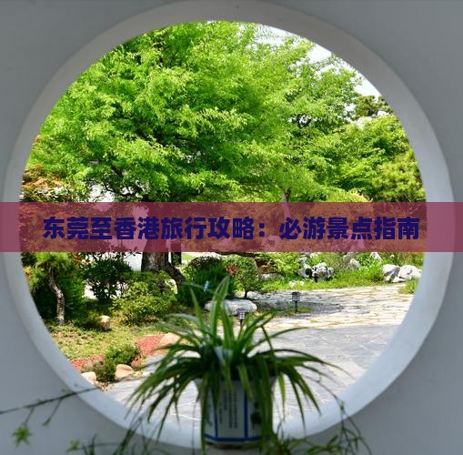 东莞至香港旅行攻略：必游景点指南