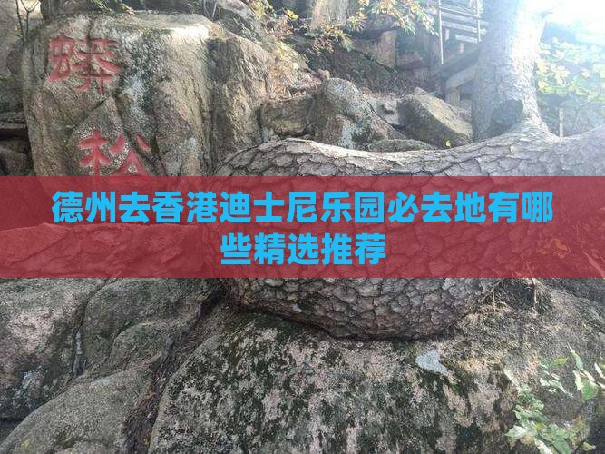 德州去香港迪士尼乐园必去地有哪些精选推荐
