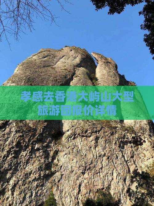 孝感去香港大屿山大型旅游团报价详情