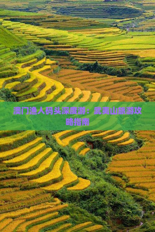 澳门渔人码头深度游：武夷山旅游攻略指南