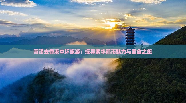菏泽去香港中环旅游：探寻繁华都市魅力与美食之旅