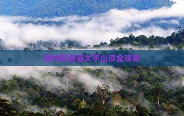 梧州到香港太平山顶全攻略