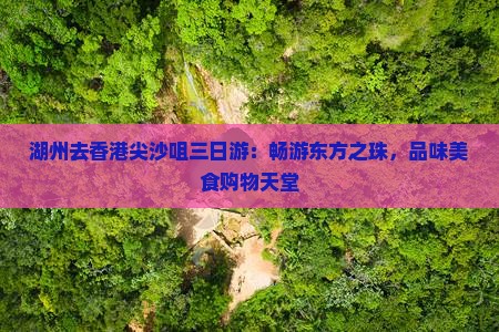 湖州去香港尖沙咀三日游：畅游东方之珠，品味美食购物天堂