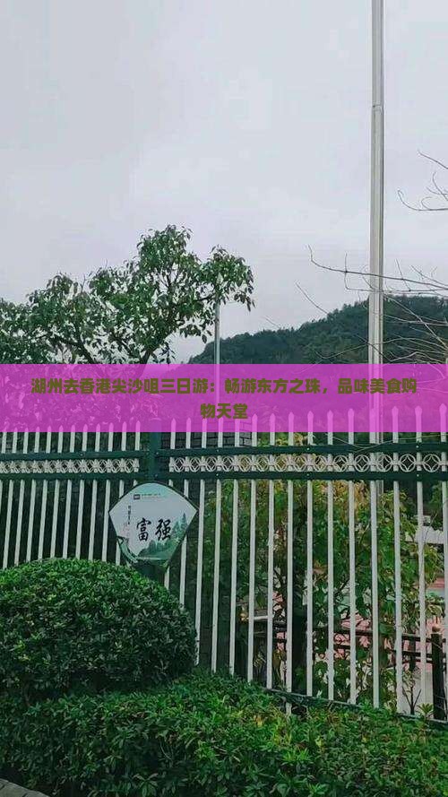 湖州去香港尖沙咀三日游：畅游东方之珠，品味美食购物天堂