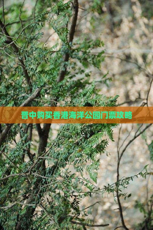晋中购买香港海洋公园门票攻略