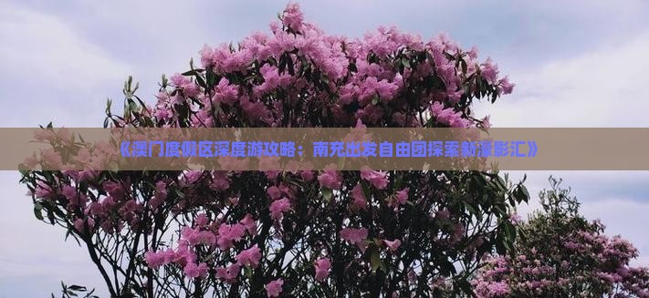 《澳门度假区深度游攻略：南充出发自由团探索新濠影汇》