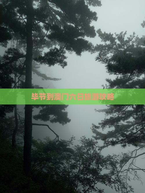 毕节到澳门六日旅游攻略