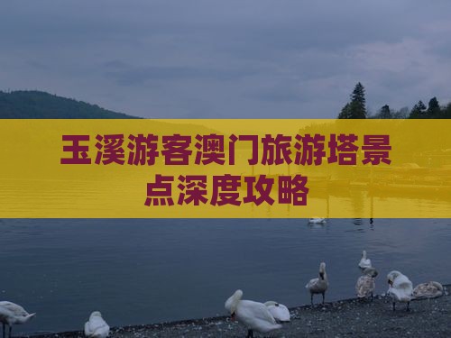 玉溪游客澳门旅游塔景点深度攻略