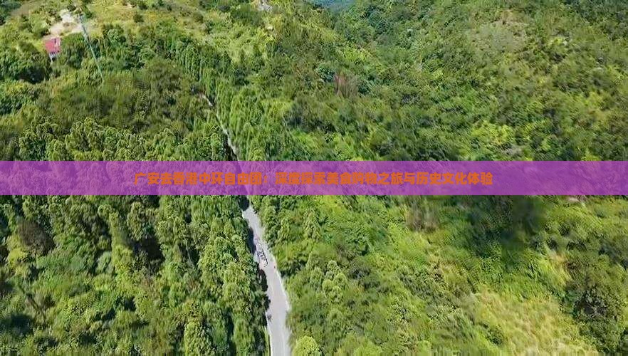 广安去香港中环自由团：深度探索美食购物之旅与历史文化体验