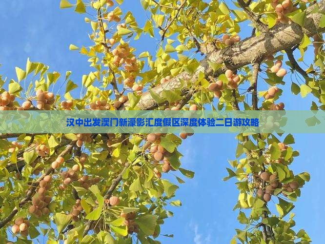 汉中出发澳门新濠影汇度假区深度体验二日游攻略