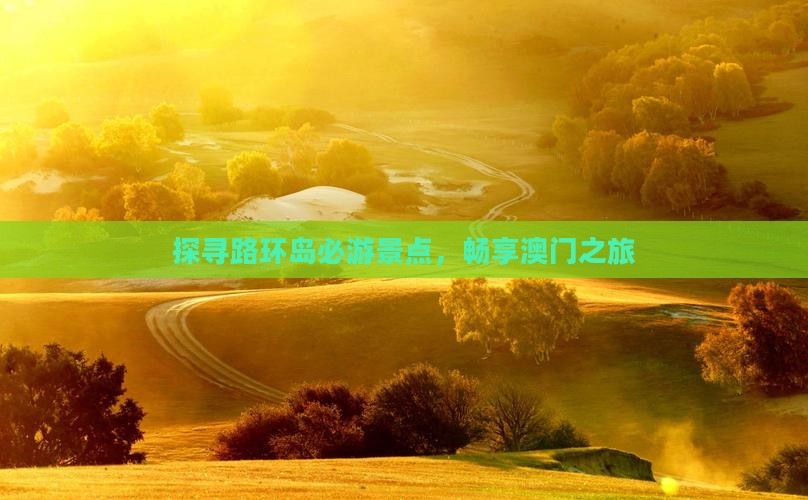 探寻路环岛必游景点，畅享澳门之旅