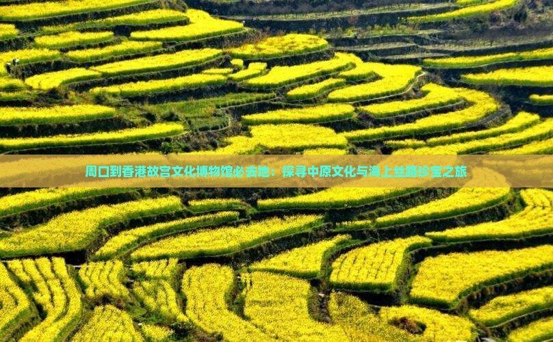 周口到香港故宫文化博物馆必去地：探寻中原文化与海上丝路珍宝之旅