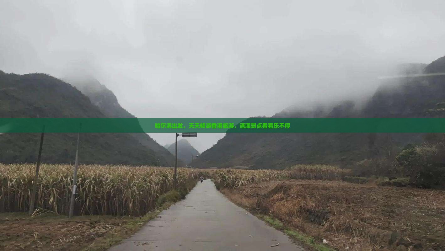 哈尔滨出发，天天畅游香港旅游，港澳景点看看乐不停
