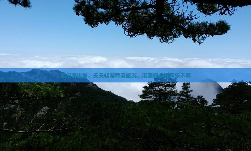哈尔滨出发，天天畅游香港旅游，港澳景点看看乐不停