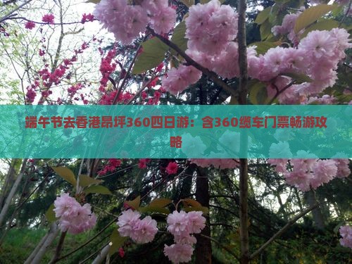 端午节去香港昂坪360四日游：含360缆车门票畅游攻略
