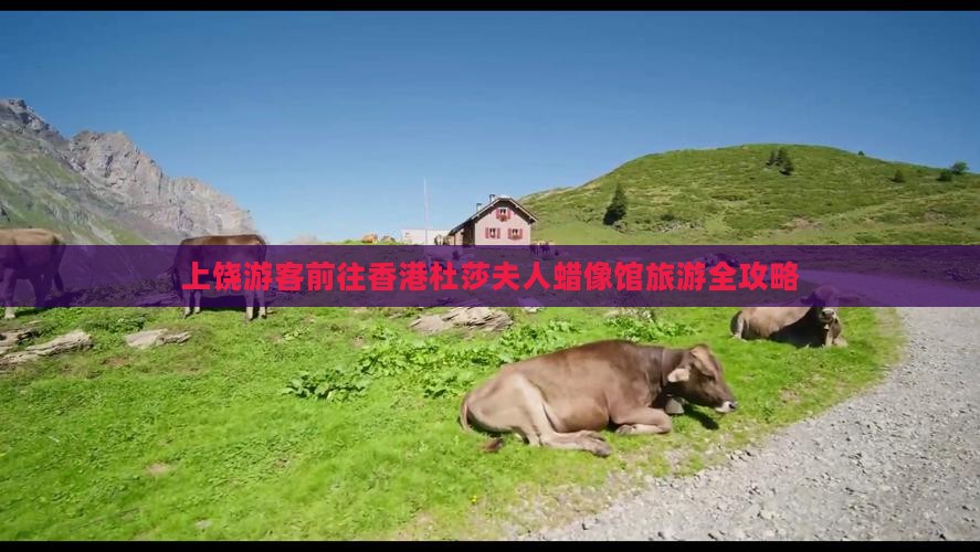 上饶游客前往香港杜莎夫人蜡像馆旅游全攻略
