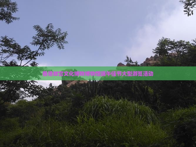 香港故宫文化博物博物馆端午佳节大型游览活动