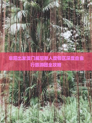 阜阳出发澳门威尼斯人度假区深度自由行旅游团全攻略