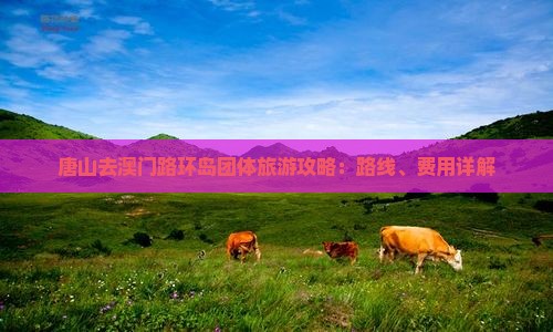 唐山去澳门路环岛团体旅游攻略：路线、费用详解