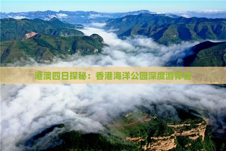 港澳四日探秘：香港海洋公园深度游体验