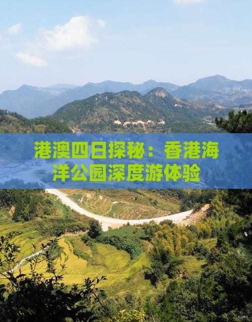 港澳四日探秘：香港海洋公园深度游体验