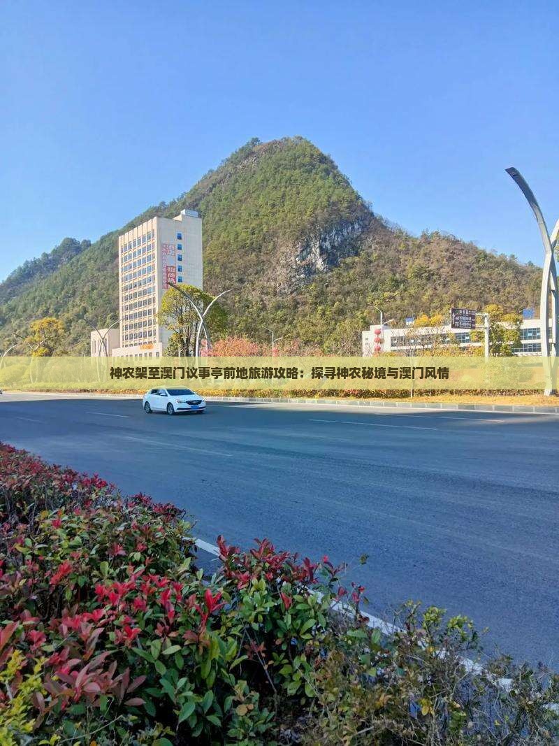 神农架至澳门议事亭前地旅游攻略：探寻神农秘境与澳门风情